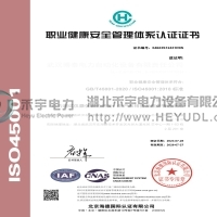 ISO45001 中文
